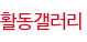 활동갤러리